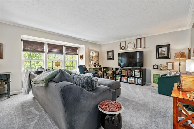 675 Village Green Blvd E, Adams Twp, PA 16046 - living room featuring carpet flooring, ornamental molding, a textured ceiling, and baseboards