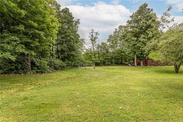 526 Pleasant Valley Rd, Bullskin Twp, PA 15425 - photo 7
