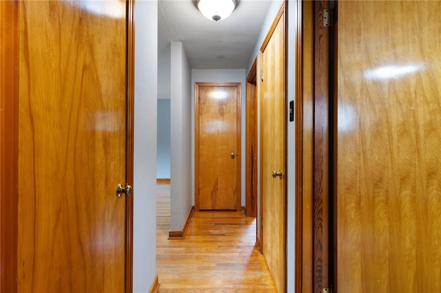 1624 Rockford Ave, Brookline, PA 15226 - corridor featuring light wood-type flooring and baseboards