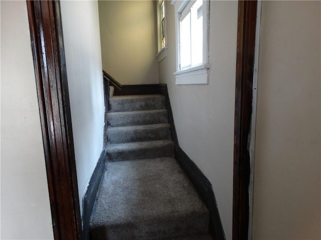 511 Chestnut St, Carnegie, PA 15106 - photo 10