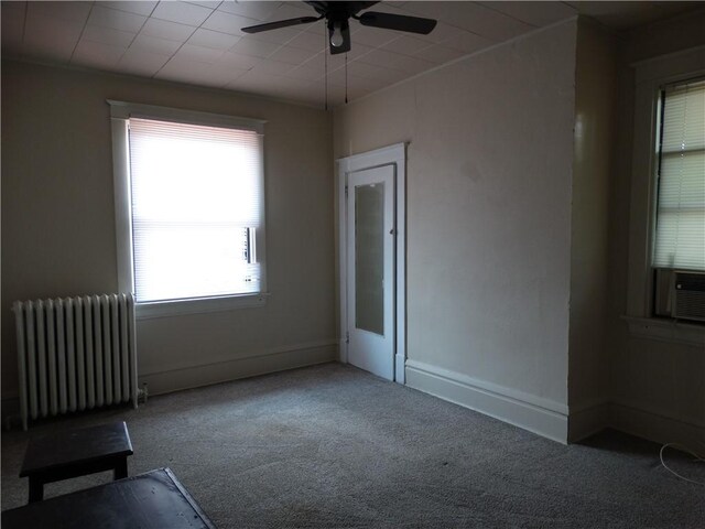 511 Chestnut St, Carnegie, PA 15106 - photo 13