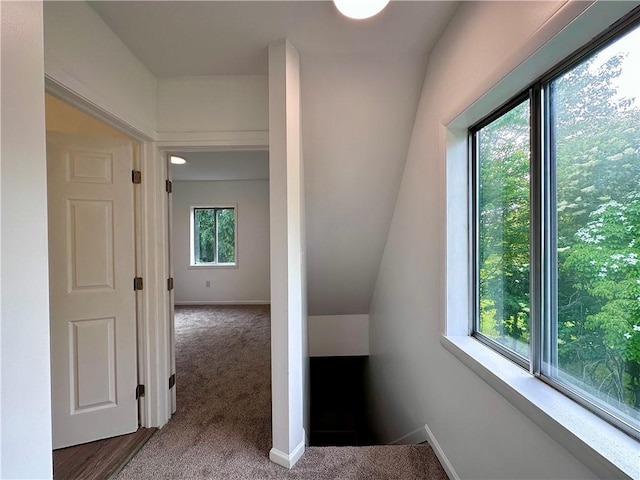 1218 Finch St, New Castle/4Th, PA 16101 - stairs featuring carpet floors and baseboards