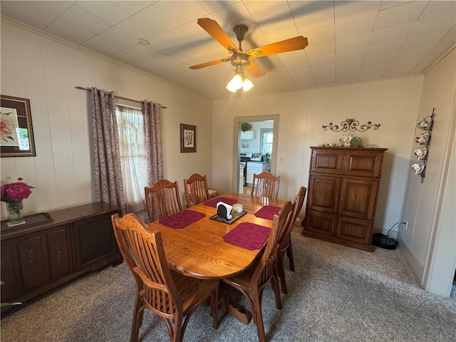 1172 Oak St, Indiana Boro Ind, PA 15701 - dining room featuring light colored carpet, ceiling fan, and crown molding