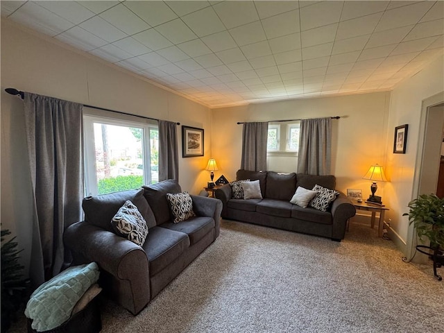 1172 Oak St, Indiana Boro Ind, PA 15701 - carpeted living room featuring ornamental molding