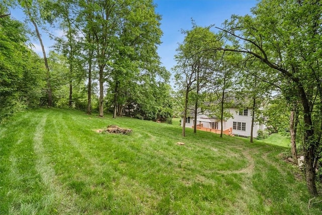260 Fox Meadow Dr, Pine Twp Nal, PA 15090 - view of grassy yard
