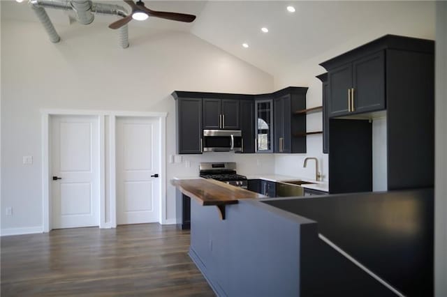 2040 Constitution Blvd, Elizabeth Twp/Boro, PA 15135 - kitchen featuring appliances with stainless steel finishes, open shelves, high vaulted ceiling, a sink, and a ceiling fan
