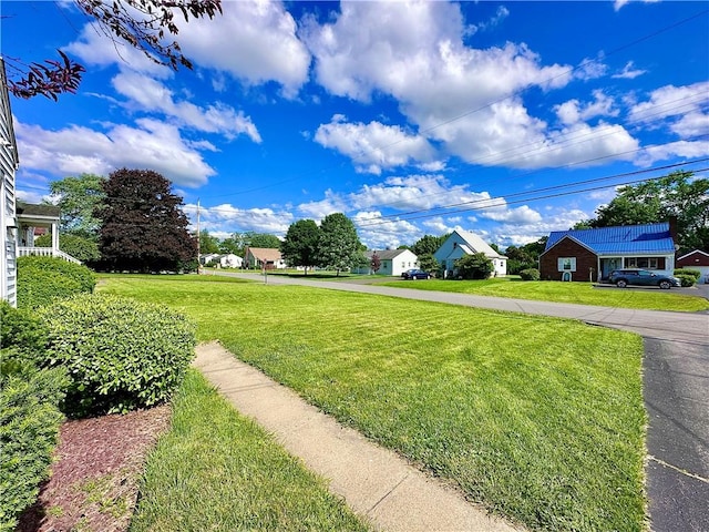 104 Kenneth Ave, Neshannock Twp, PA 16105 - view of green lawn
