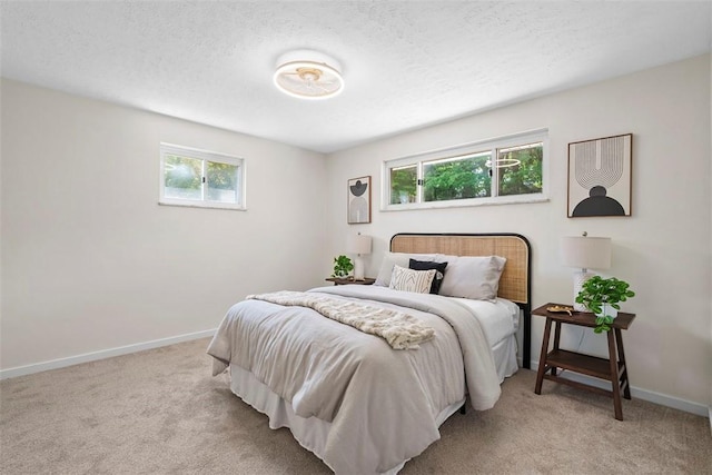 507 Edgehill Dr, Richland, PA 15044 - bedroom featuring light carpet, multiple windows, baseboards, and a textured ceiling
