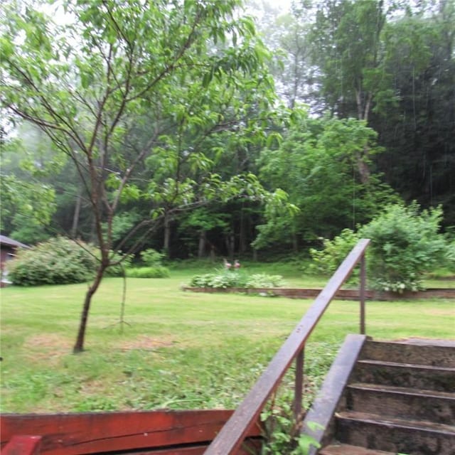 313 Dalton Run Rd, Conemaugh Twp Som, PA 15905 - view of green lawn