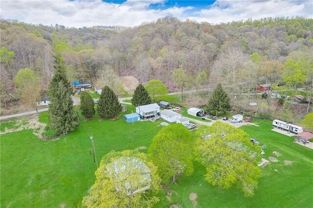 952 Seybertown Rd, Perry Twp, PA 16041 - drone / aerial view of a forest