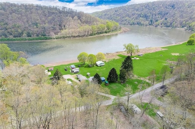 952 Seybertown Rd, Perry Twp, PA 16041 - water view with a forest