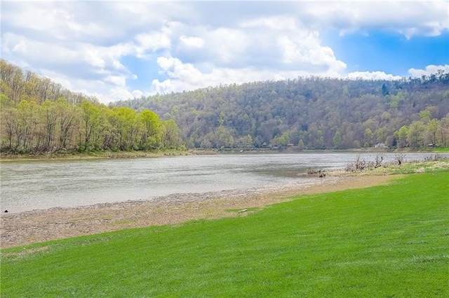 952 Seybertown Rd, Perry Twp, PA 16041 - water view with a heavily wooded area