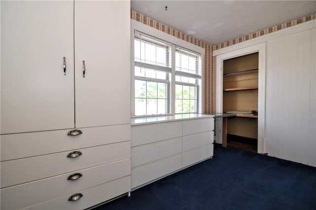 232 Center Ave, Elizabeth Twp/Boro, PA 15037 - view of closet