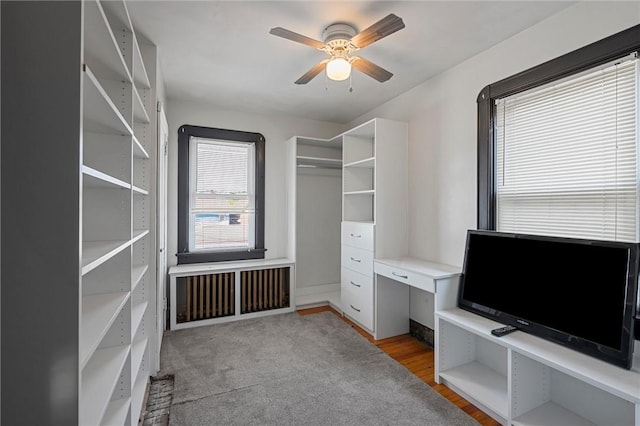 159 Jefferson Ave, Vandergrift Wml, PA 15690 - walk in closet featuring a ceiling fan and light wood-type flooring
