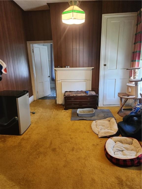 595 N Richhill St, Waynsbrg/Frankln Twp, PA 15370 - sitting room with wooden walls and light colored carpet
