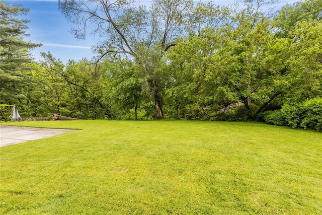 157 Kings Dale Rd, Churchill Boro, PA 15221 - view of grassy yard