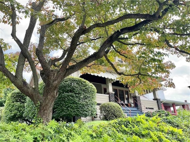 302 3rd St N, Versailles, PA 15137 - view of obstructed view of property