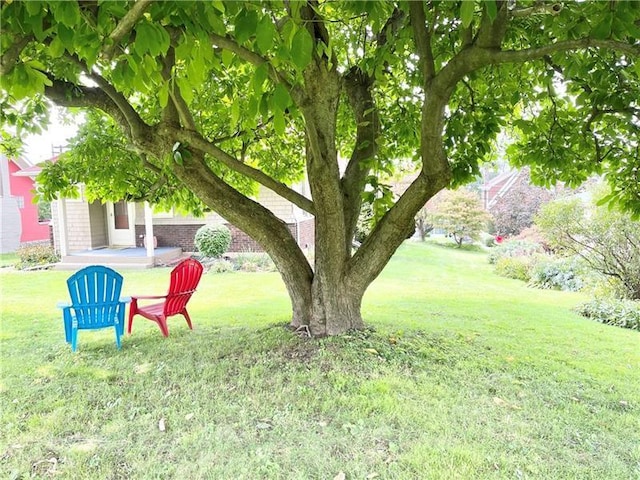 302 3rd St N, Versailles, PA 15137 - view of grassy yard