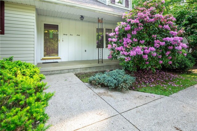 3460 Ridgewood Dr, Hermitage, PA 16148 - view of exterior entry featuring covered porch, board and batten siding, and a shingled roof