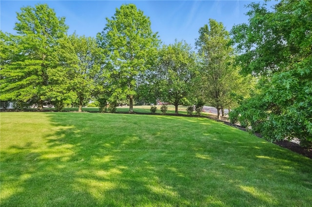 901 Montclair Dr, Moon/Crescent Twp, PA 15108 - view of grassy yard