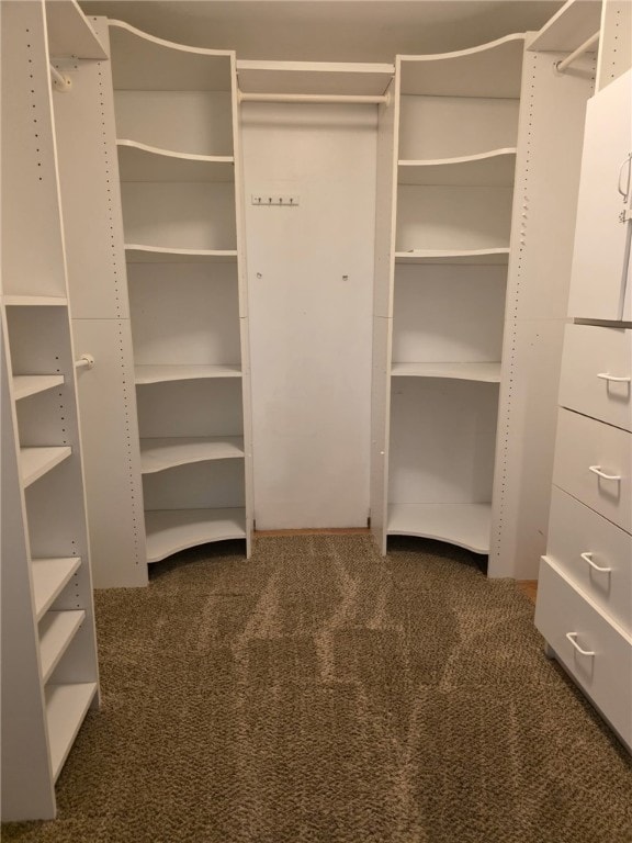 1064 Glen Oak Dr, Bethel Park, PA 15102 - walk in closet with carpet flooring
