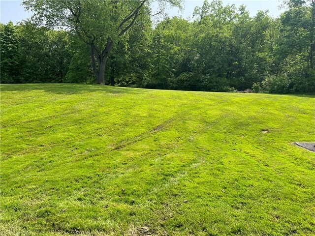 2617 S Hermitage Rd, Hermitage, PA 16148 - view of green lawn with a view of trees
