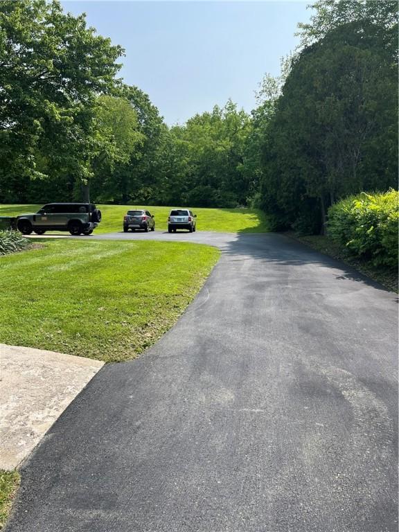 2617 S Hermitage Rd, Hermitage, PA 16148 - view of road with a wooded view