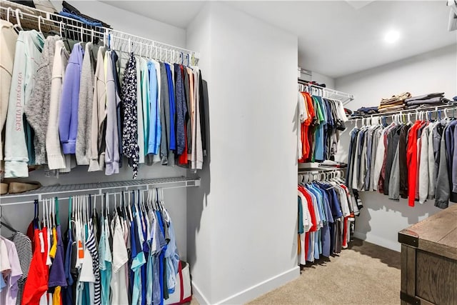 121 Derby Ln, North Fayette, PA 15071 - walk in closet featuring carpet flooring