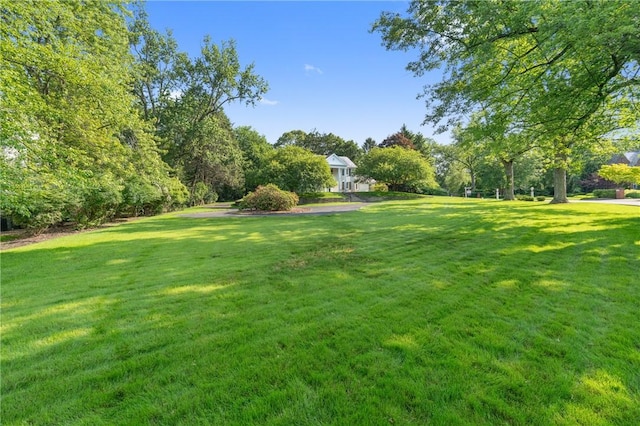 129 S Dr, Fox Chapel, PA 15238 - view of green lawn