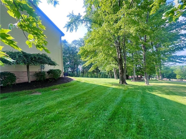 138 Willow Run Dr, Center Twp But, PA 16001 - view of grassy yard