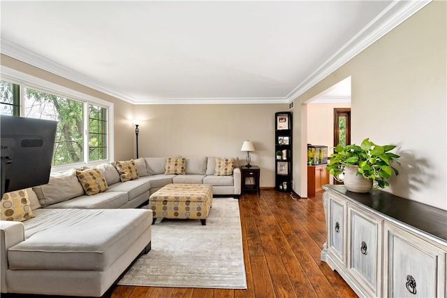 227 Shady Knoll Dr, Scott Twp Sal, PA 15220 - living room with crown molding and dark wood-style flooring
