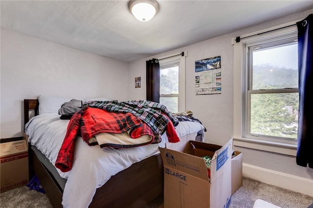 149-151 French St, Hempfield Twp Wml, PA 15601 - bedroom with a baseboard radiator, carpet flooring, and baseboards