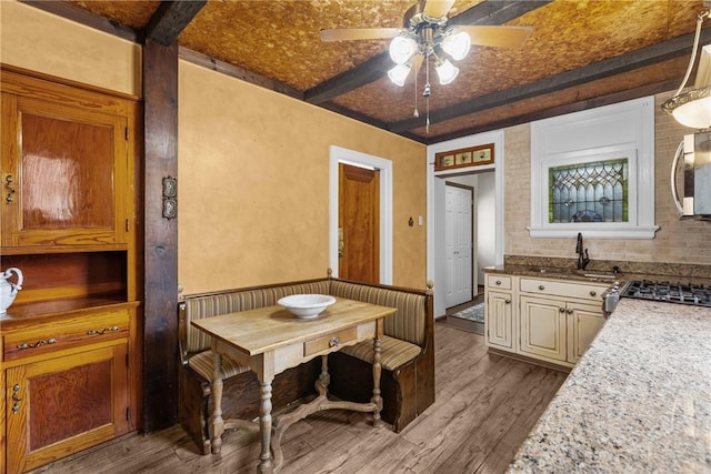 1623 Villanova, Morningside, PA 15206 - kitchen featuring a sink, dark wood-style flooring, beam ceiling, ceiling fan, and appliances with stainless steel finishes