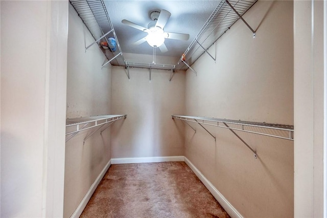 4115 Duckhorn Dr, Moon/Crescent Twp, PA 15108 - walk in closet with light colored carpet and a ceiling fan