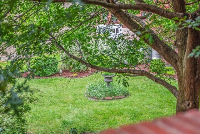 1536 Colwell St Unit 4, Downtown Pgh, PA 15219 - view of yard