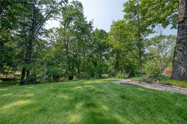 9341 Glenellen Dr, Mccandless, PA 15237 - photo 36