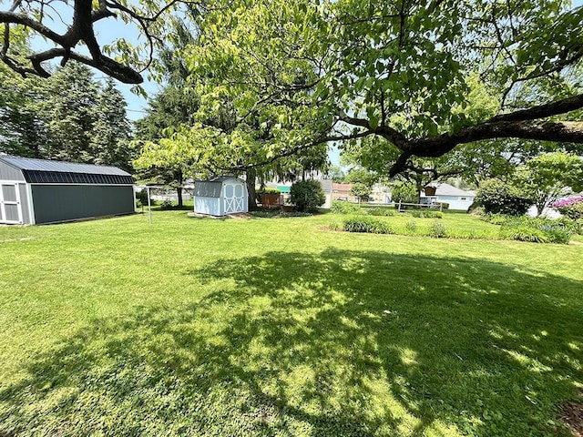 1720 Saltsburg Ave, White Twp Ind, PA 15701 - view of yard