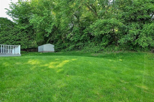 317 Fairview Dr, Manor, PA 15642 - view of green lawn