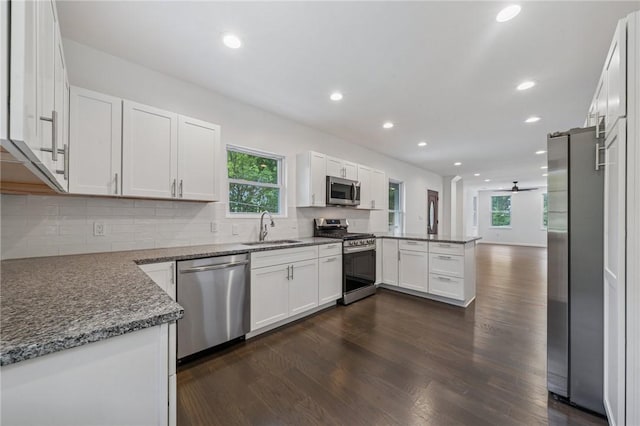 80 Butler St, Valencia Boro, PA 16059 - kitchen featuring stainless steel appliances, a peninsula, a sink, plenty of natural light, and recessed lighting