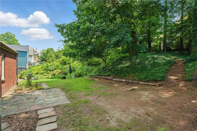 131 Spring Ave, Bellevue, PA 15202 - view of yard