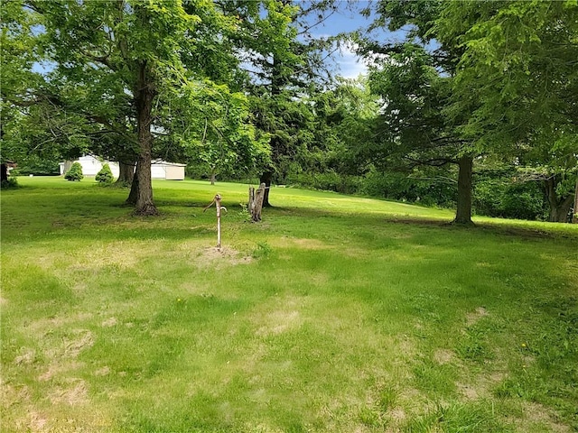 214 Washington Ave, Mount Pleasant Twp Was, PA 15340 - view of grassy yard
