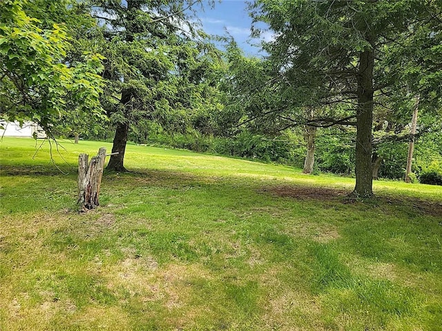 214 Washington Ave, Mount Pleasant Twp Was, PA 15340 - view of grassy yard