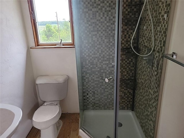 214 Washington Ave, Mount Pleasant Twp Was, PA 15340 - bathroom with toilet, wood finished floors, and a stall shower
