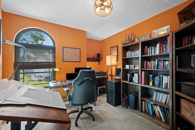 208 Ruffed Grouse Dr, North Fayette, PA 15126 - office area with a textured ceiling and light colored carpet
