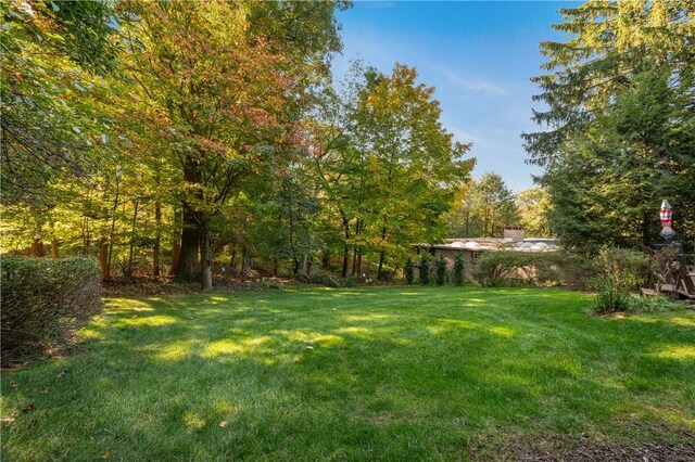 102 Colwyn Rd, Ross Twp, PA 15237 - view of grassy yard