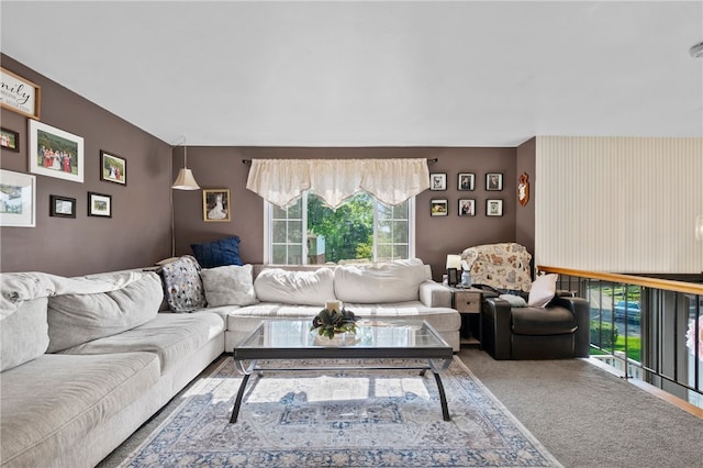 1006 Willow Glen Dr, Bethel Park, PA 15102 - carpeted living area with plenty of natural light
