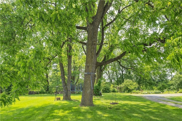 169 Plum Way, Wayne Twp Law, PA 16157 - view of grassy yard with a trampoline