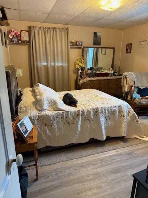 111 Central Ave, Chicora Boro, PA 16025 - bedroom featuring wood finished floors and a paneled ceiling
