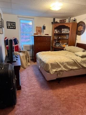 111 Central Ave, Chicora Boro, PA 16025 - view of carpeted bedroom