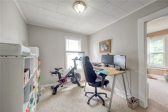 429 Market St, Beaver, PA 15009 - office space with carpet, ornamental molding, and baseboards